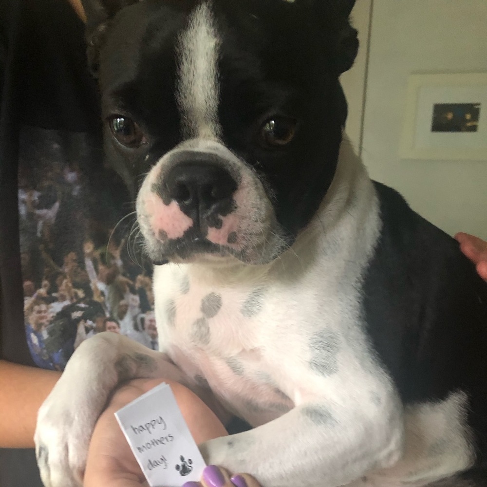 Meet your Posher, Lucia